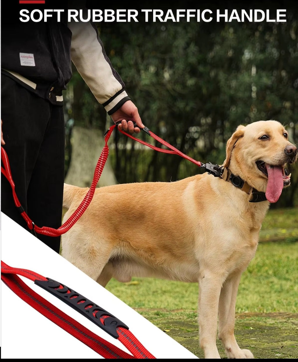 Premium leash for adventures