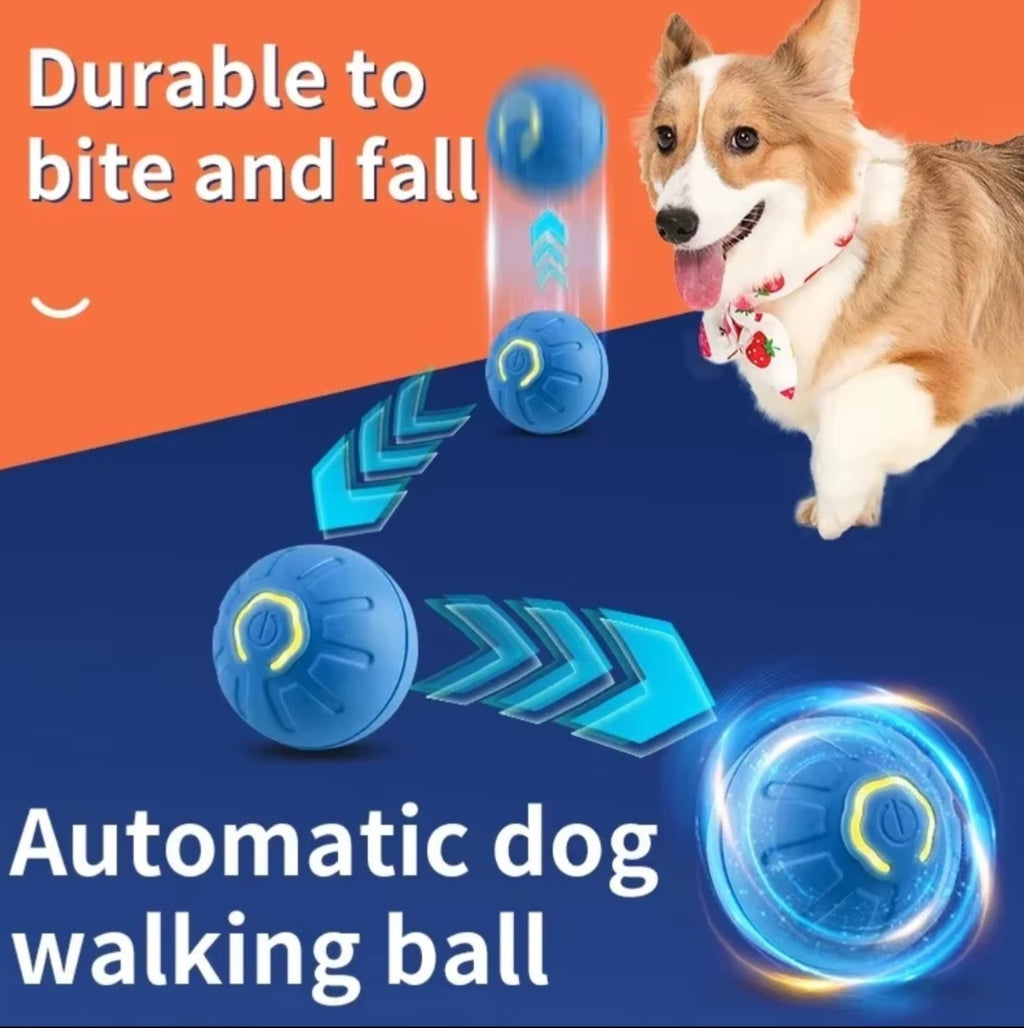 Dog Fetch & Chew Ball