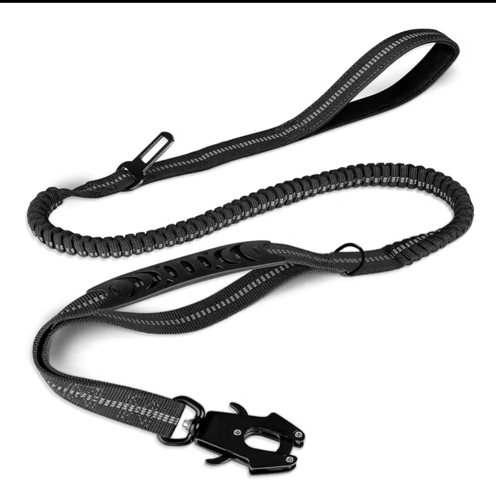 Premium leash for adventures