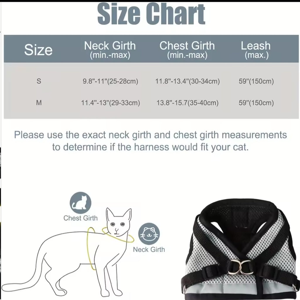 Everything for your cat