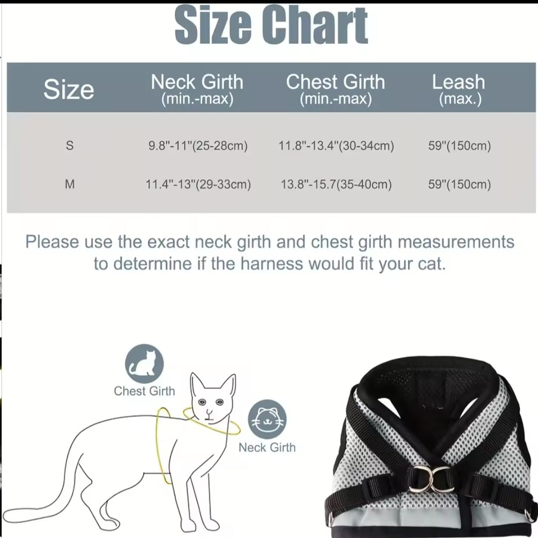 Everything for your cat