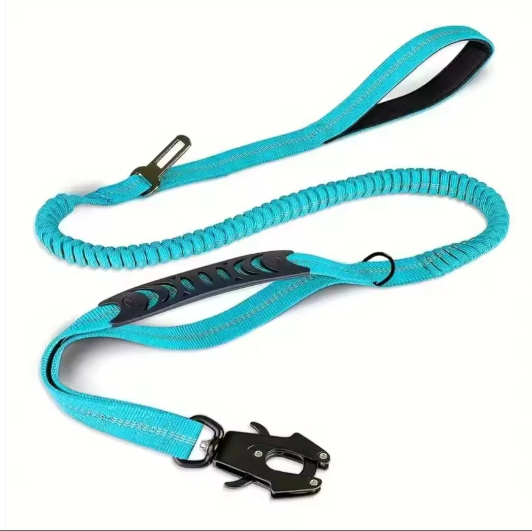 Premium leash for adventures