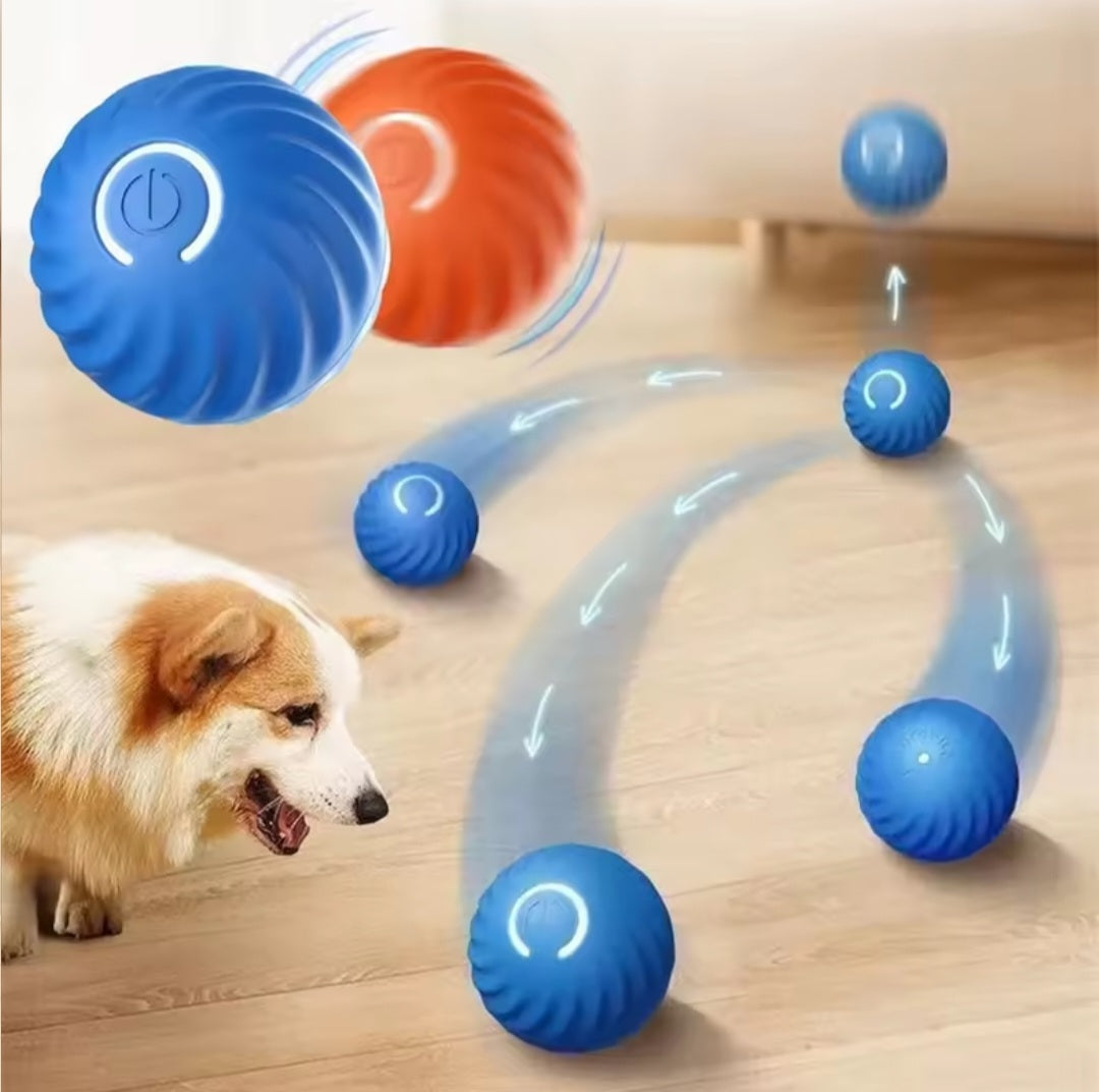 Dog Fetch & Chew Ball
