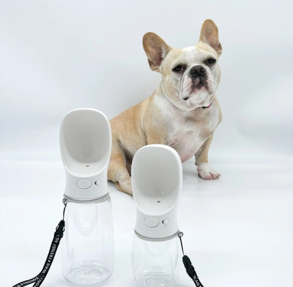 Bottles Made for Your Pup