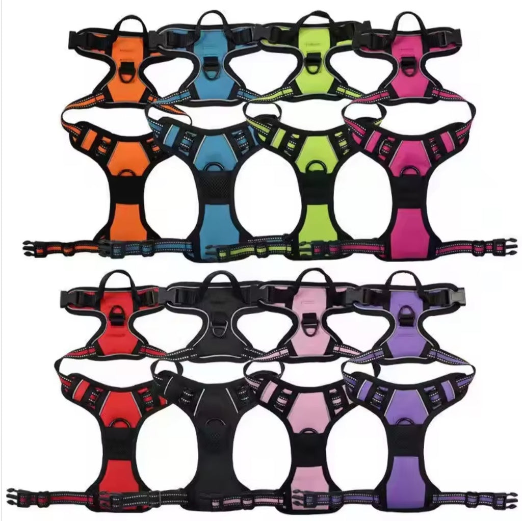 Harness for your little friend