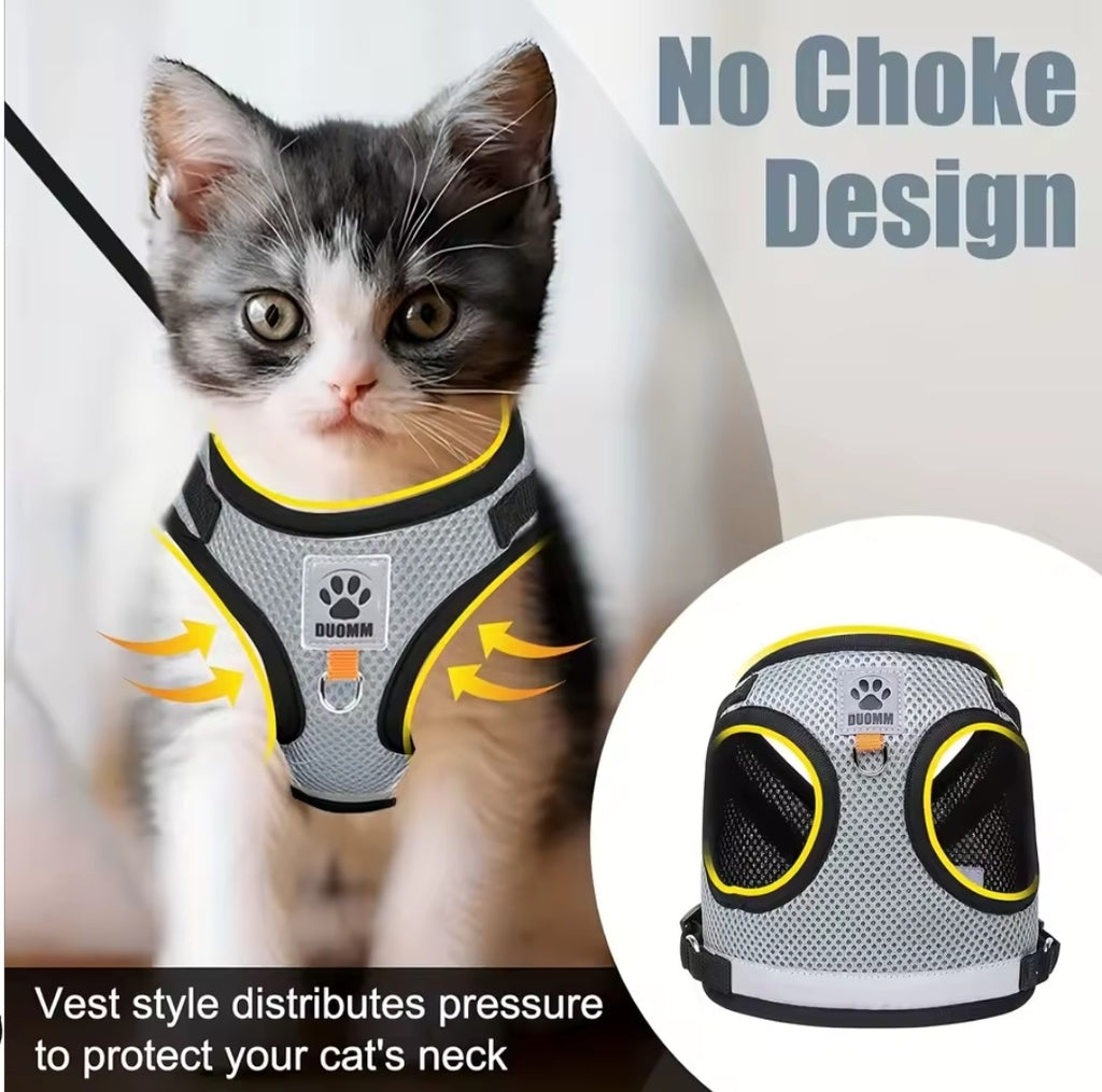 Everything for your cat
