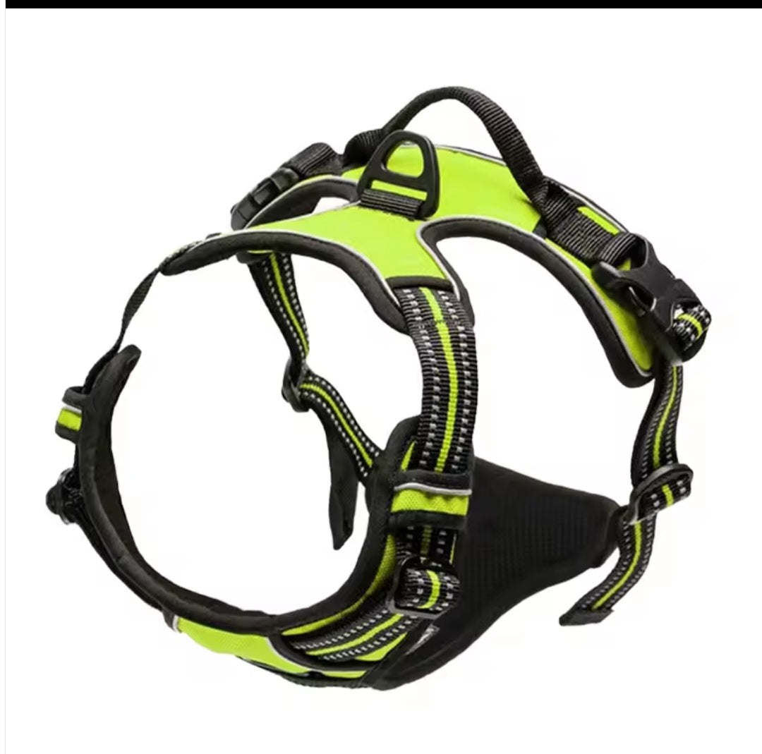 Harness for your little friend