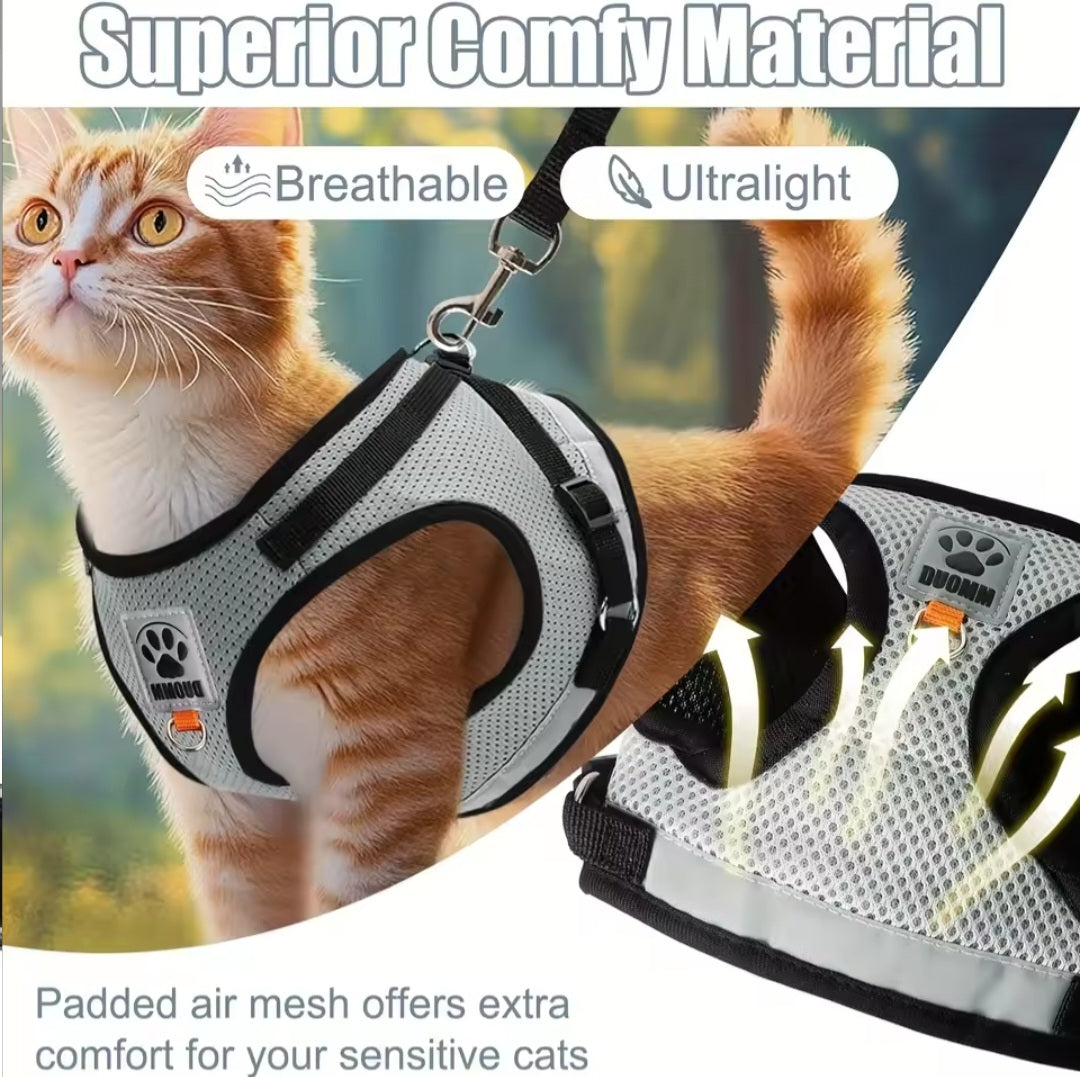 Everything for your cat