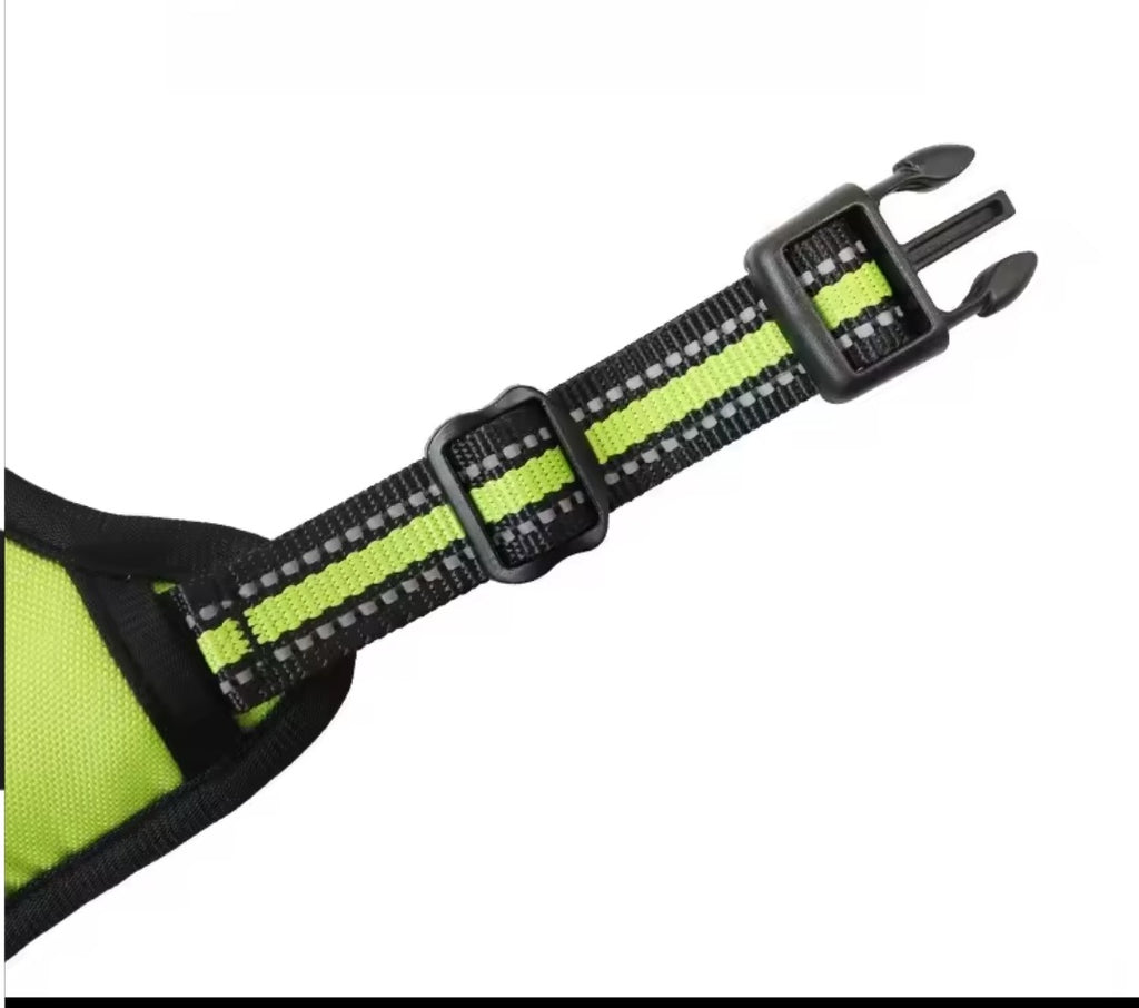Harness for your little friend