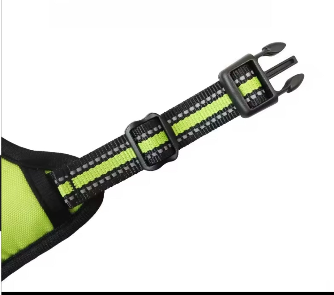 Harness for your little friend