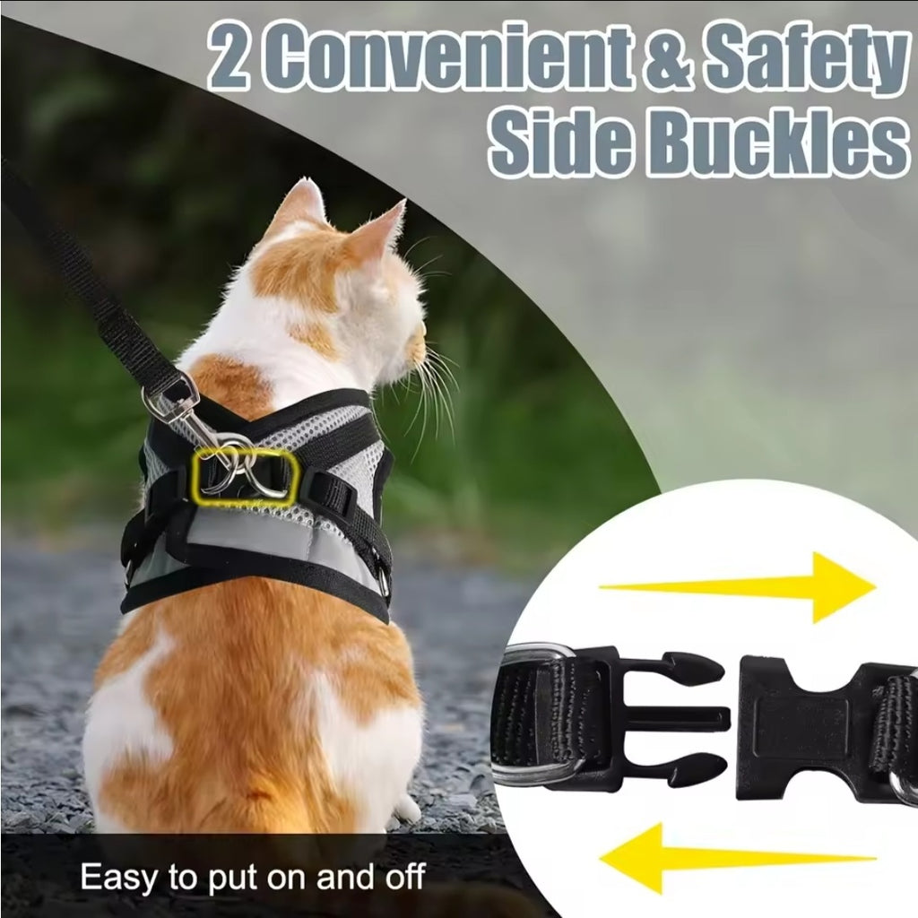 Everything for your cat