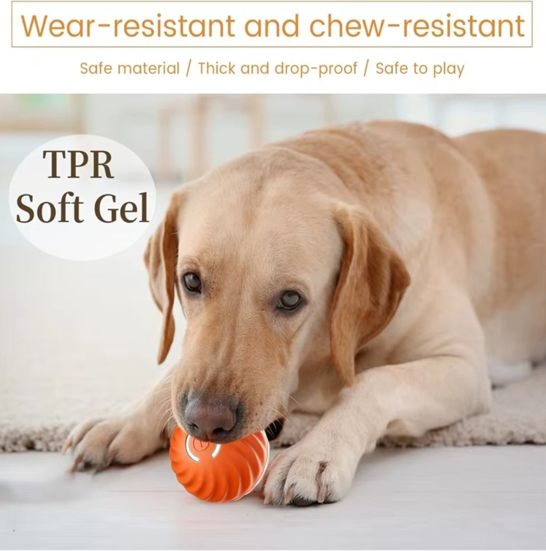 Dog Fetch & Chew Ball