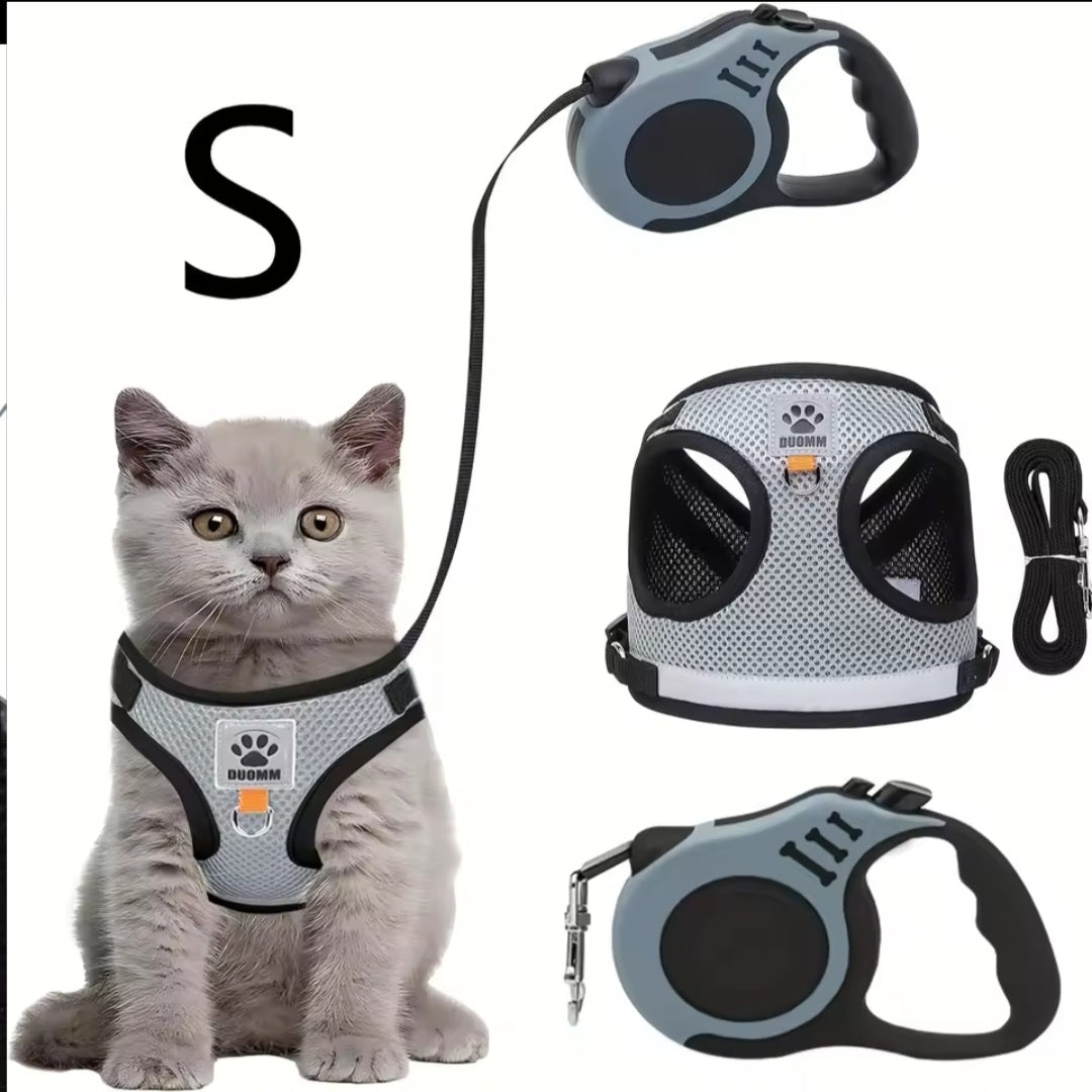 Everything for your cat