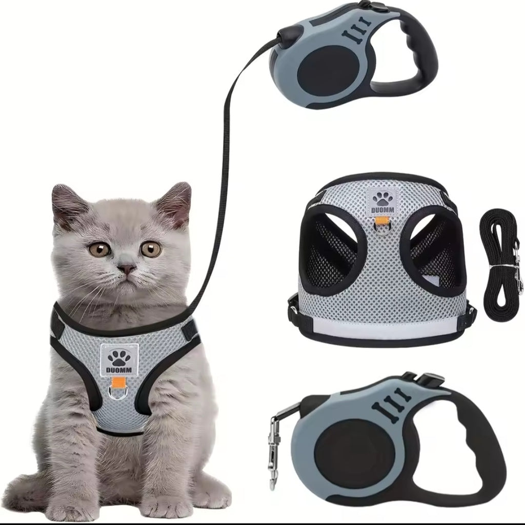 Everything for your cat