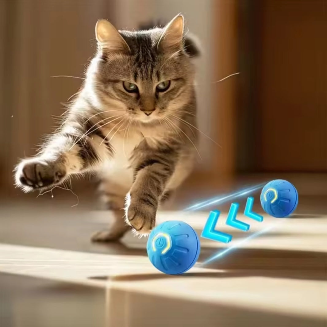 Dog Fetch & Chew Ball