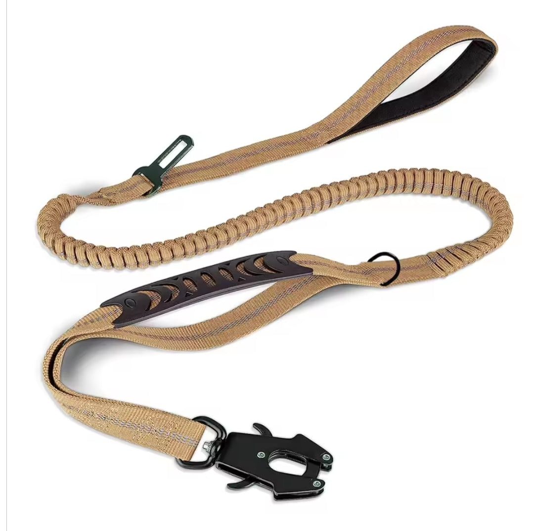 Premium leash for adventures