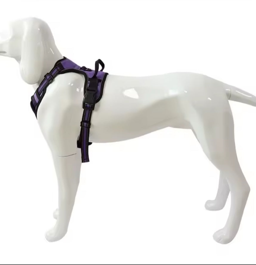 Harness for your little friend